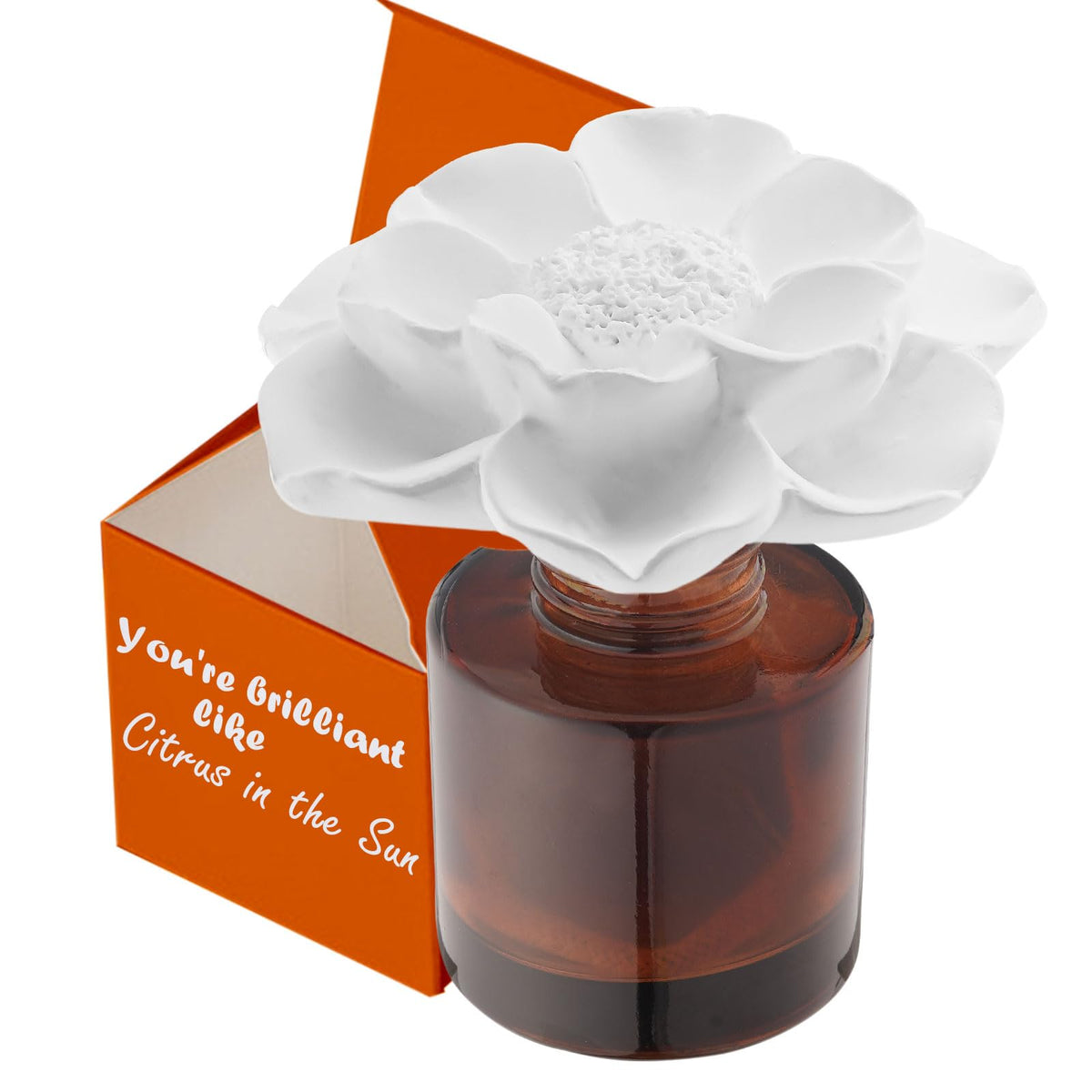 Earffloz Essential Oil and Diffuser Gift Set, You're Brilliant Like Citrus in The Sun (1.7 fl.oz|50ml), 60-Days Natural Air Freshener Non-Toxic Home Scent Upgrades Fragrance Reed Diffuser