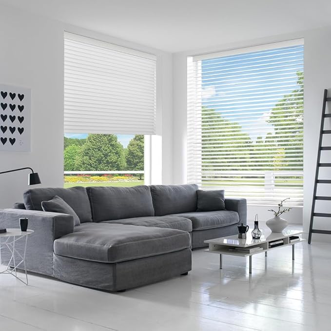 Zshine Automatic Shangri La Light Filtering Serenity Sheer Roller Shades Free Dimming Rechargeable Motorized Compatible with Homekit Siri Alexa (83021E White)