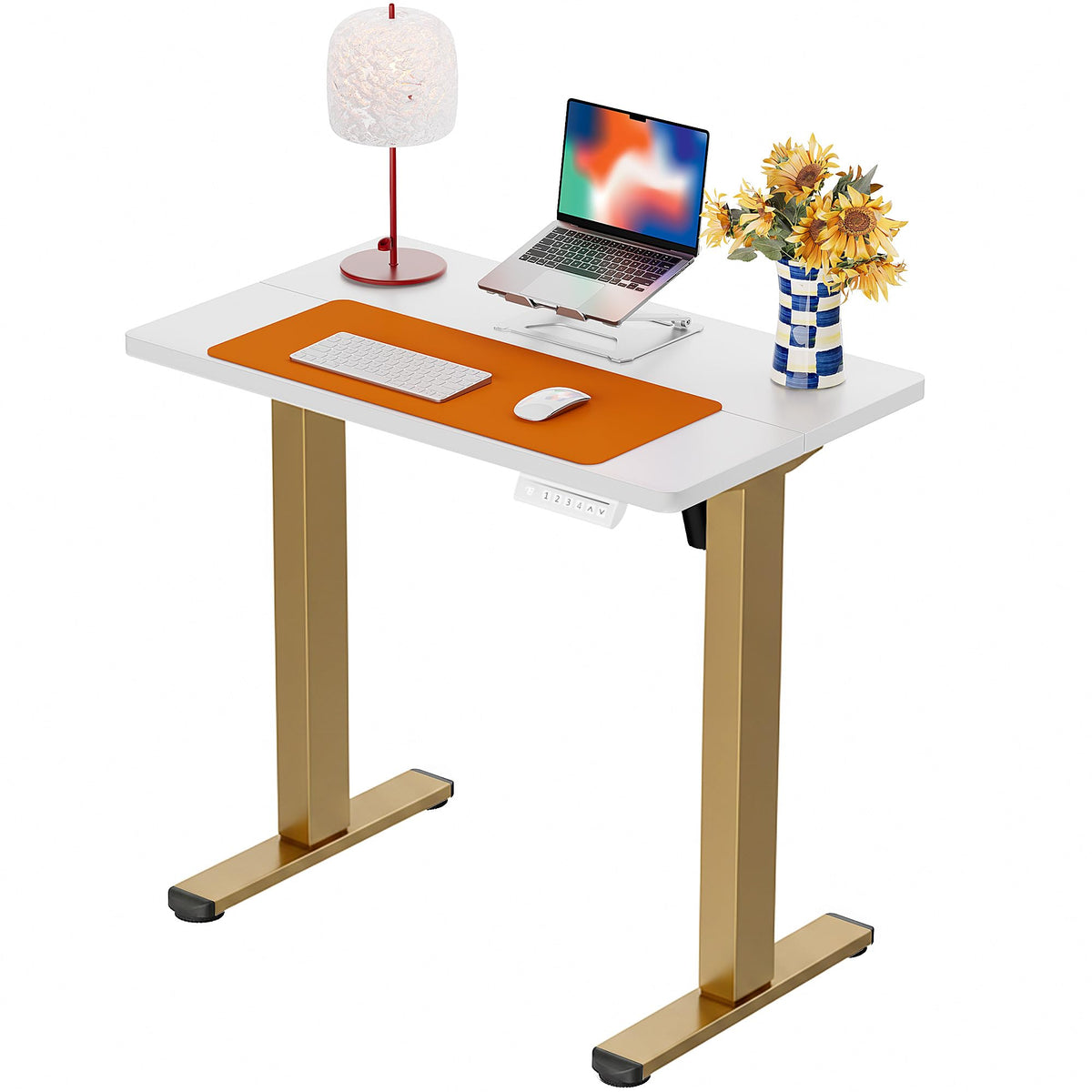 ErGear Height Adjustable Electric Standing Desk, 32 x 19 Inches Sit Stand up Desk, Memory Computer Home Office Desk, White+Gold