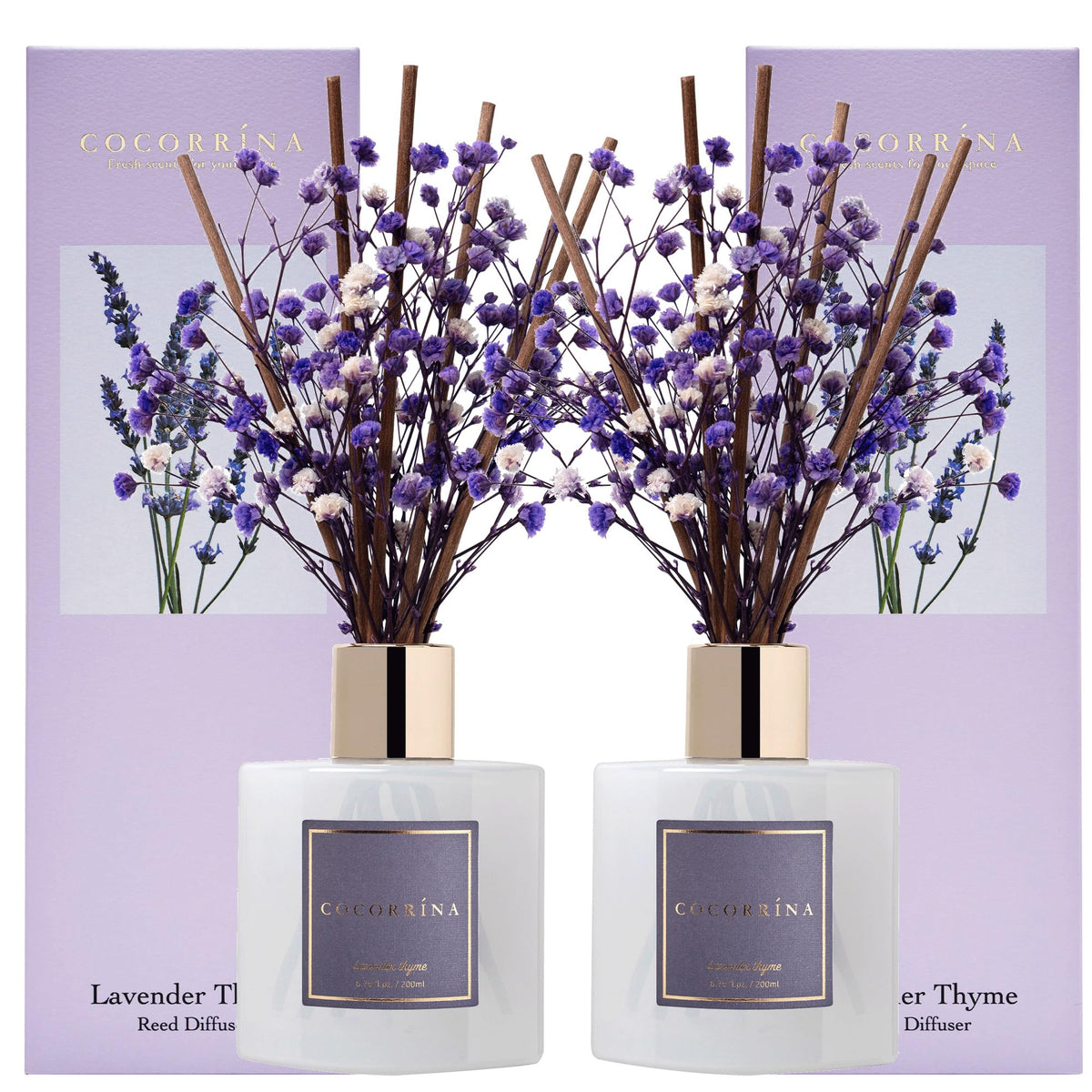 Cocorrína Premium Reed Diffuser Set with Preserved Baby's Breath & Cotton Stick Lavender Thyme 2 Packs, 6.7oz Scent Fragrance Oil Diffuser for Bedroom Bathroom Home Décor
