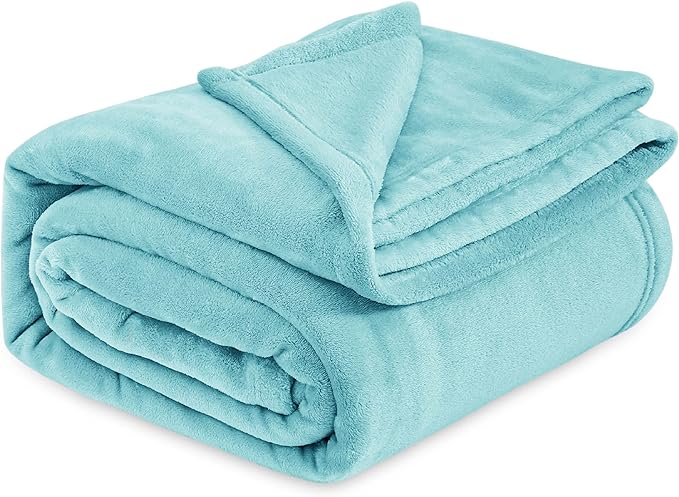 Bedsure GentleSoft Fleece Bed Blankets Queen Size River Blue - Soft Lightweight Plush Fuzzy Cozy Luxury Blanket Microfiber, 90x90 inches
