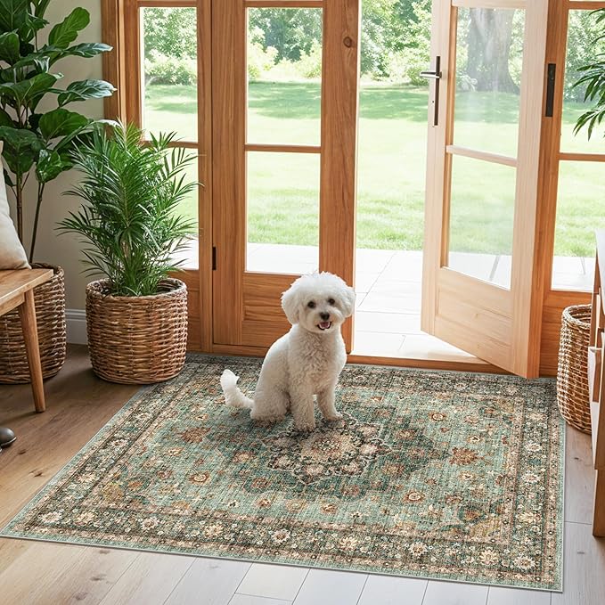 Green Entryway 3x4 Rug - Washable Area Rugs for Kitchen Bathroom Non-Slip Ultra-Thin Indoor Door Mat Indoor Entrance - Stain Resistant Small Throw Carpet (Green, 3X4)